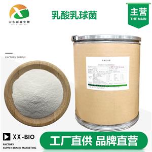 乳酸乳球菌