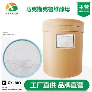 马克斯克鲁维酵母