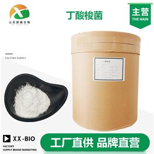 丁酸梭菌