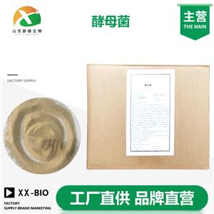酵母菌