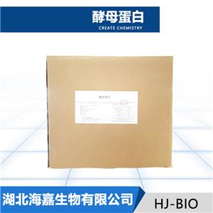 酵母蛋白生产厂家