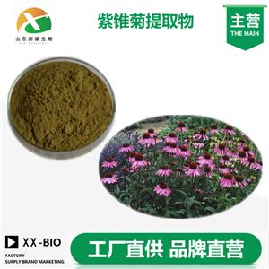 紫錐菊提取物