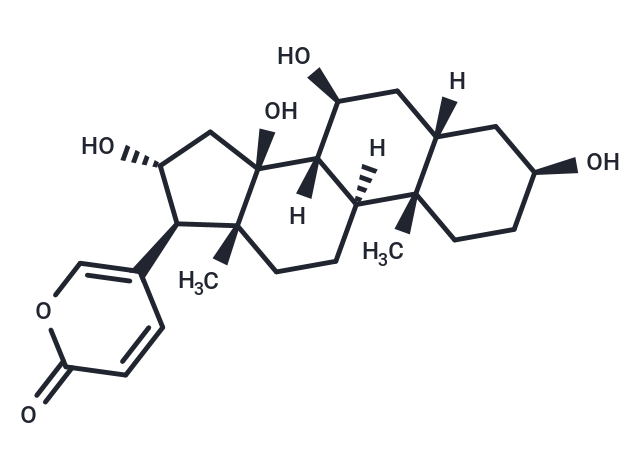 化合物 7β,16α-Dihydroxybufalin,7β,16α-Dihydroxybufalin