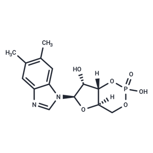 化合物 5,6-DM-cBIMP|T89247|TargetMol