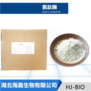 氨肽酶生产厂家