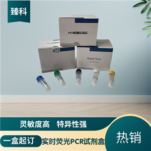 錦鯉皰疹病毒(KHV)核酸檢測試劑盒(熒光-PCR法)