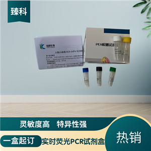 罗湖病毒（TiLV）核酸检测试剂盒(荧光-PCR法)