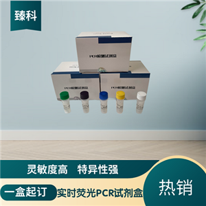 肝胰腺細(xì)小病毒（HPV）核酸檢測試劑盒(熒光-PCR法)