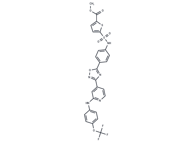 化合物 GSK-3β inhibitor 17,GSK-3β inhibitor 17