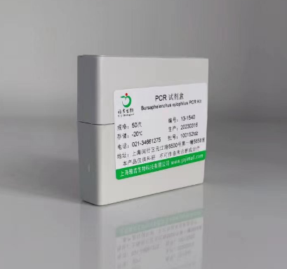 Luciferase荧光素酶PCR试剂盒,Luciferase