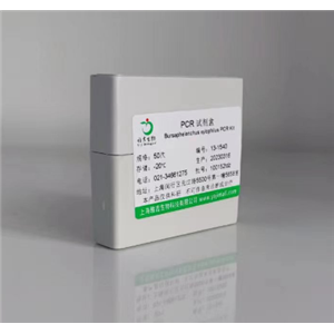 Luciferase荧光素酶PCR试剂盒,Luciferase