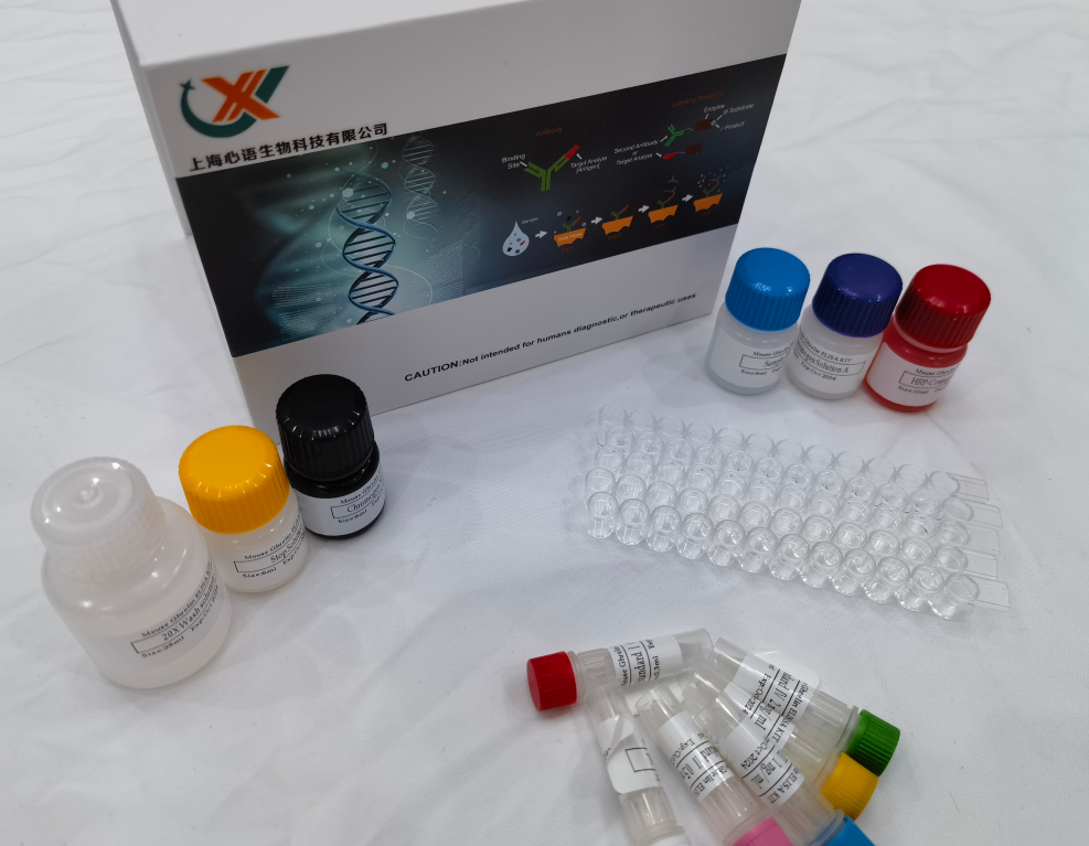 人乳头瘤病毒16型E7蛋白(HPV16 E7)ELISA检测试剂盒,Human Papillomavirus type 16 E7 protein (HPV16 E7) ELISA kit