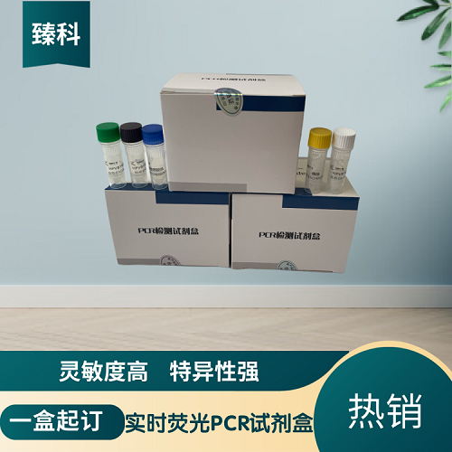 解脲支原體(UU)核酸檢測(cè)試劑盒(熒光-PCR法)