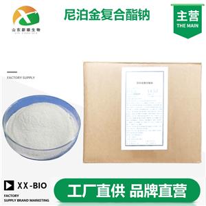 尼泊金復(fù)合酯鈉廠家