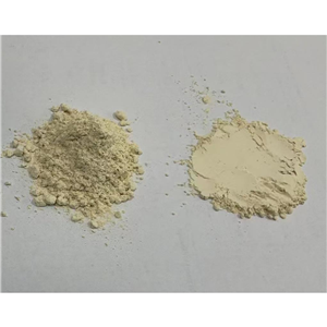 谷朊粉,活性面筋粉,小麥蛋白粉,含量80%,85%,小麥活性蛋白