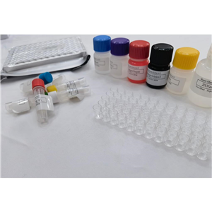 人前病毒整合位点1(PIM1)ELISA检测试剂盒,Human Serine/threonine-protein kinase pim-1 (PIM1) ELISA Kit