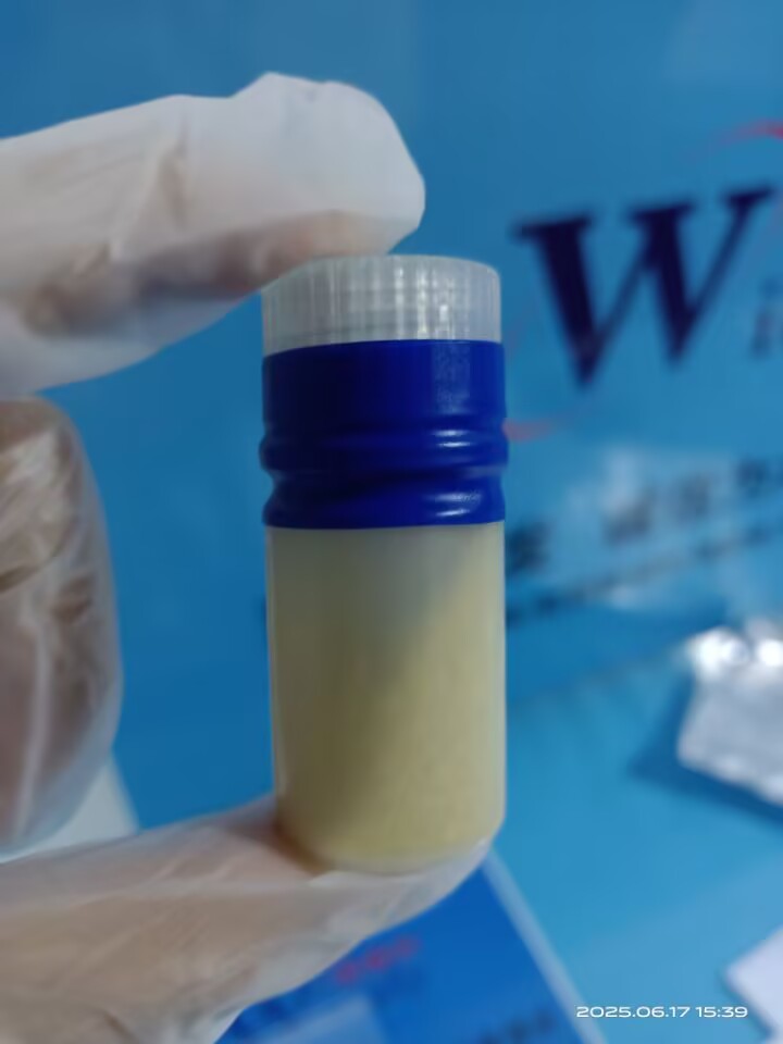 乳酸氧化酶,LACTIC OXIDASE