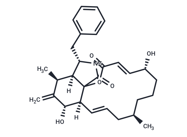 細胞松弛素B,Cytochalasin B