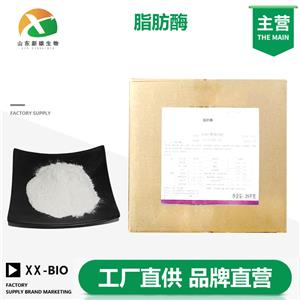 脂肪酶生產(chǎn)廠家