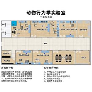 S~S AI人工智能動物行為學(xué)視頻分析系統(tǒng)（分析軟件）