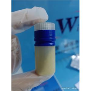 乳酸氧化酶,LACTIC OXIDASE