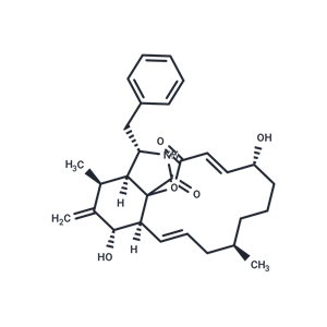 細胞松弛素B,Cytochalasin B