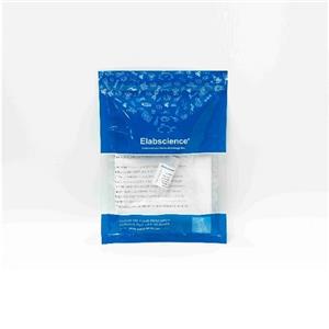 PE標記抗小鼠IFN-γ抗體[XMG1.2]Elabscience流式抗體-E-AB-F1101D,PE Anti-Mouse IFN-γ Antibody[XMG1.2