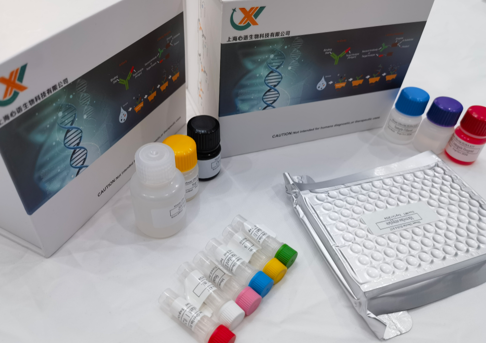 人多核糖核苷酸核苷转移酶1(PNPT1)ELISA检测试剂盒,Human  Polynucleotide Phosphorylase (PNPT1) ELISA Kit