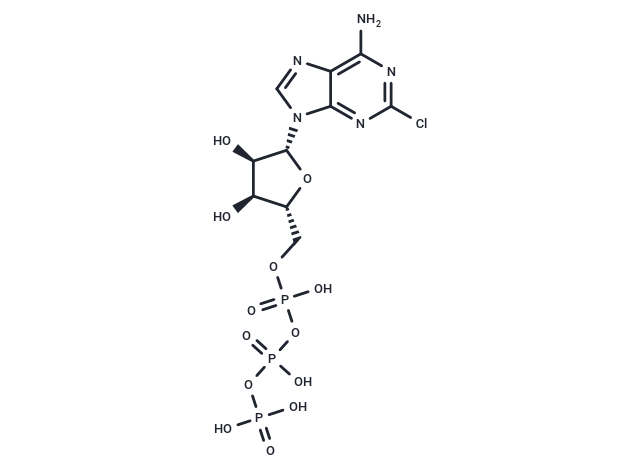 化合物 2-Chloro-ATP,2-Chloro-ATP