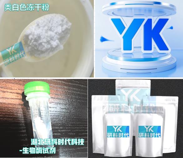格拉普蘭特；格拉匹綸；CJ-023423；克普蘭特,Graprant; Grapiron; CJ-023423； Koplante