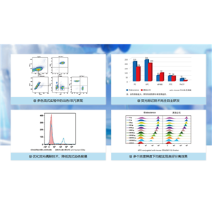 PE標(biāo)記抗小鼠MHC II (I-A/I-E)抗體[M5/114]Elabscience流式抗體-E-AB-F0990D,PE Anti-Mouse MHC II (I-A/I-E) Antibody[M5/114