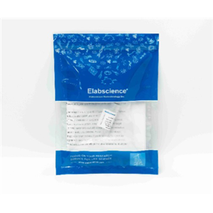 PE標(biāo)記抗小鼠MHC II (I-A/I-E)抗體[M5/114]Elabscience流式抗體-E-AB-F0990D,PE Anti-Mouse MHC II (I-A/I-E) Antibody[M5/114