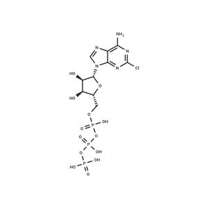 化合物 2-Chloro-ATP,2-Chloro-ATP