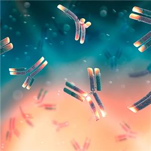 食蟹猴FCRL5蛋白, His Tag