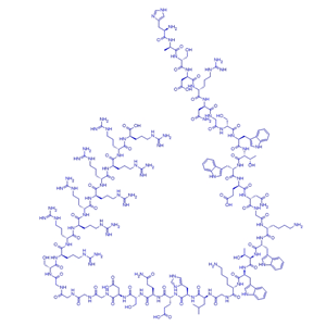 对照肽APTscr-9R,APTSTAT3-9R, scrambled