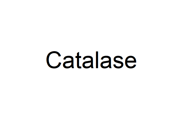 過氧化氫酶,Catalase