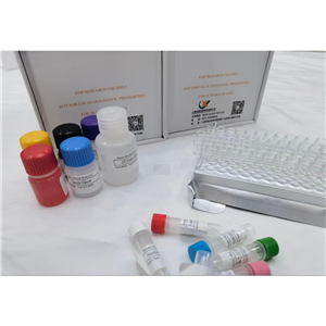 大鼠核因子κB (NFκB)酶联免疫分析(ELISA)试剂盒,Rat NF-κB(Nuclear Factor Kappa B) ELISA Kit