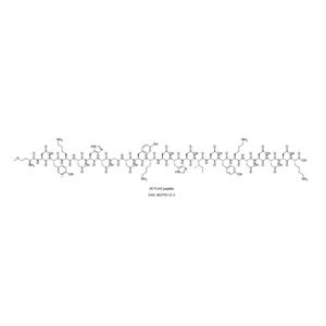 3X FLAG 多肽;3X FLAG peptide