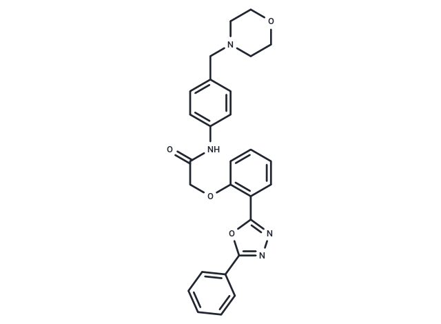 化合物 GPX4-IN-11,GPX4-IN-11