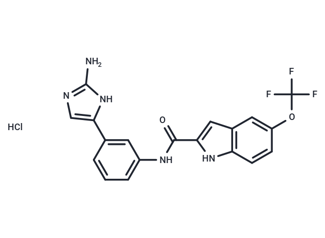 化合物 HV1-IN-1 hydrochloride,HV1-IN-1 hydrochloride