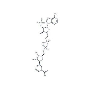 化合物 Thio-NADP,Thio-NADP
