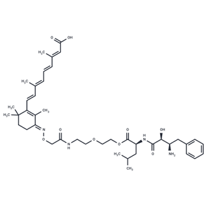 化合物 PROTAC CRABP-II Degrader-1|T13836|TargetMol