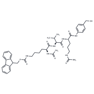 化合物 AcLys-PABC-VC-Aur0101 intermediate-1|T87774|TargetMol