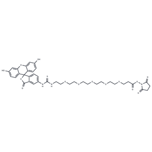 化合物 Fluorescein-PEG5-NHS ester|T17944|TargetMol