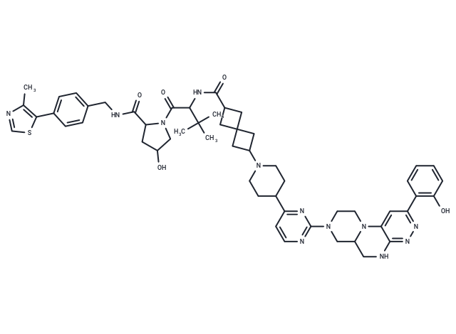 化合物 PROTAC SMARCA2 degrader-21,PROTAC SMARCA2 degrader-21