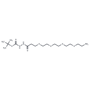 化合物 Amino-PEG4-hydrazide-Boc|T14242|TargetMol