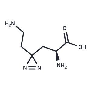 化合物 Photo-lysine|T19516|TargetMol