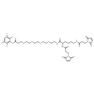 化合物 Bis-Mal-Lysine-PEG4-TFP ester|T14624|TargetMol