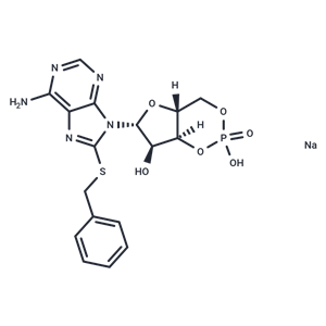 化合物 8-Benzylthio-cAMP|T88582|TargetMol
