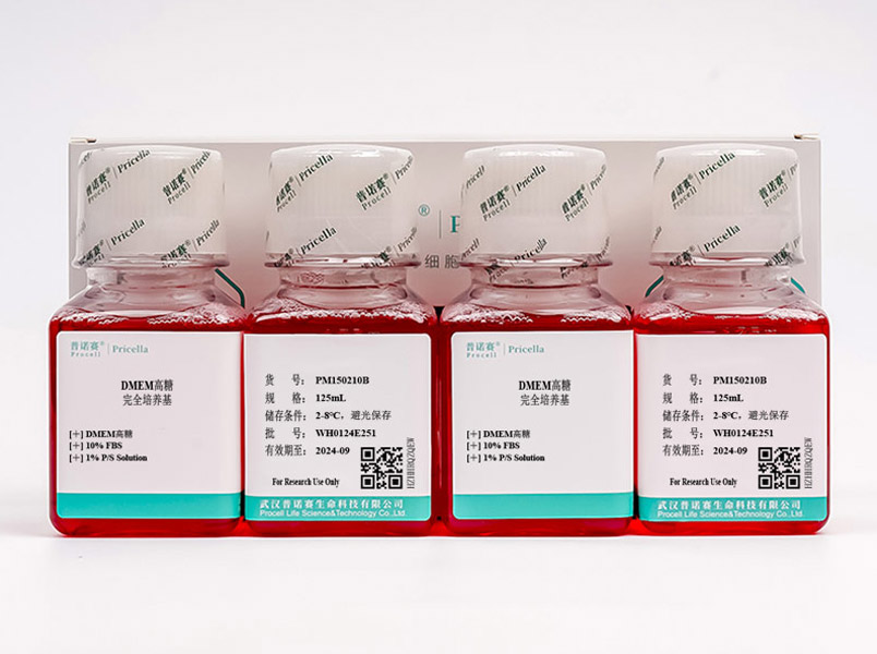 DMEM高糖完全培养基（含10% FBS）PM150210B,DMEM High Glucose Complete Medium with 10% FBS